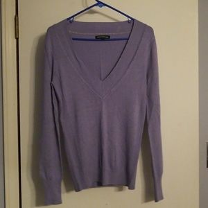Express V-neck sweater